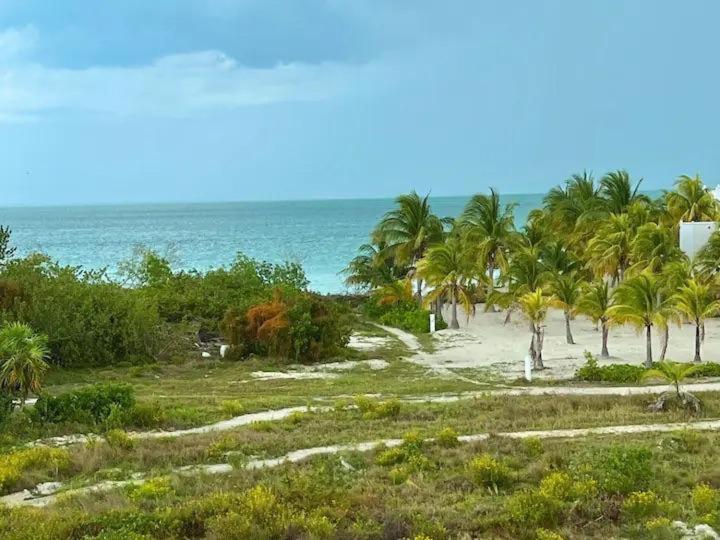 Holbox Te Quiero Luxury Suites Extérieur photo
